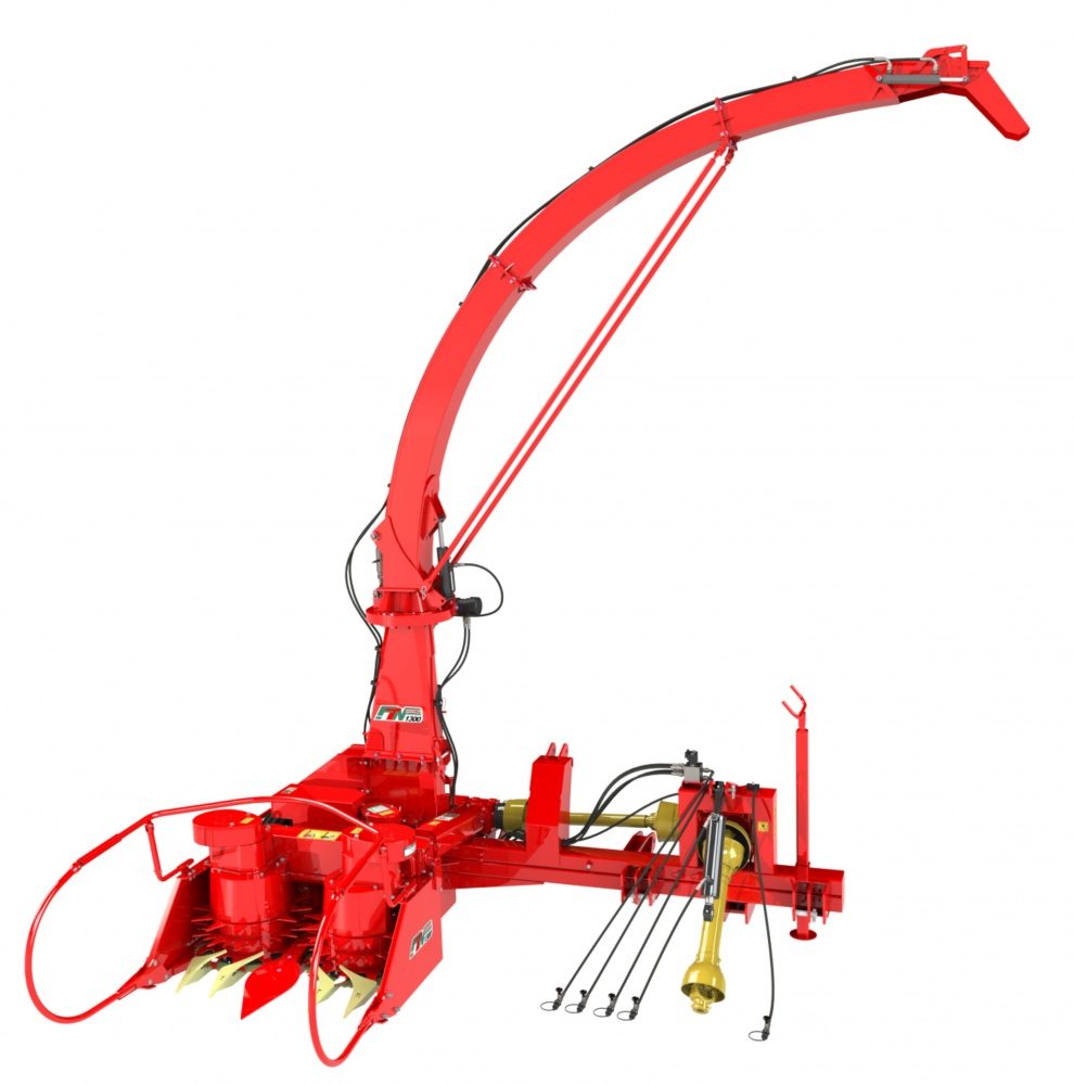 FTN 1300 Nogueira